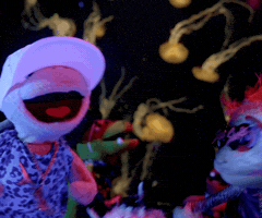 Lets Go Party GIF by Aquarium of the Pacific