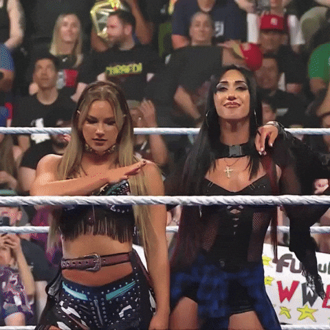 Wwe Wave GIF