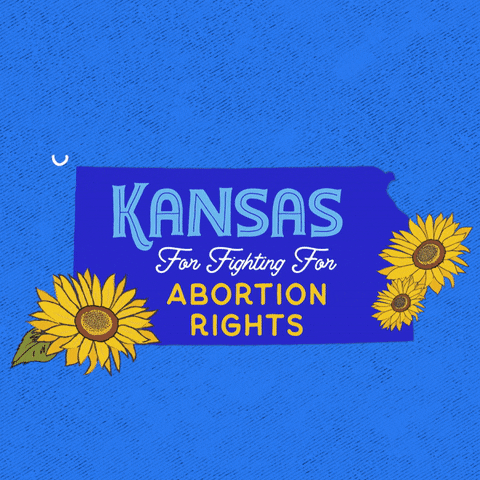 Digital art gif. Blue shape of Kansas is decorated with three yellow sunflowers against a light blue background. Text, “Thank you Kansas for fighting for abortion rights.”