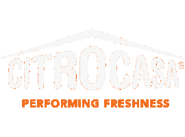 Orange Juice Sticker by CITROCASA