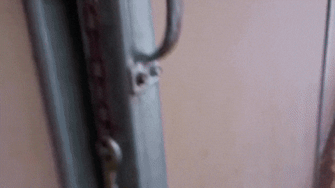kury czasu GIF