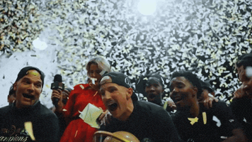 Niagara River Lions GIF
