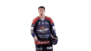 Herve Sticker by Les Ducs d'Angers
