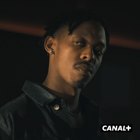 Tv Show Yes GIF by CANAL+