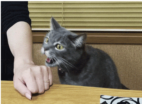cats