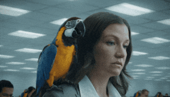 Parrot Repeating GIF by PICTON Investments