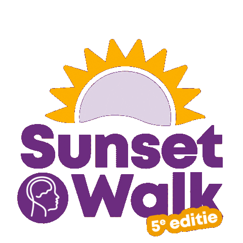 We Did It Sunset Sticker by Hersenstichting