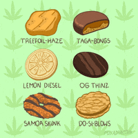girl scout cookies lol GIF by Animation Domination High-Def