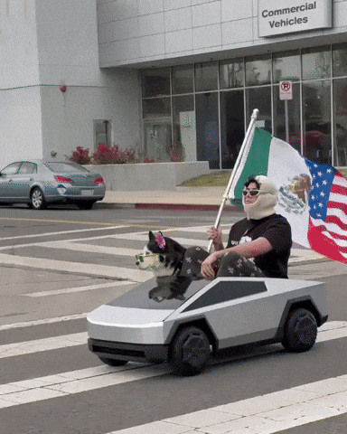 Mexican American Dog GIF by SWAGGY WOLFDOG