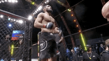 Khabib Nurmagomedov Sport GIF by UFC