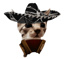 Mexico Instrument Sticker