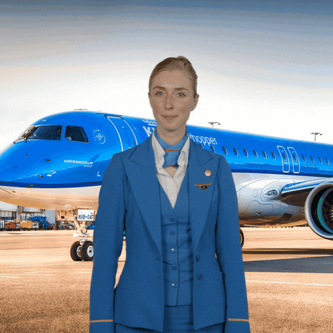 Cabin Crew Applause GIF by KLM