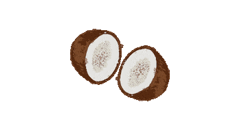 Sticker by Pure Fiji