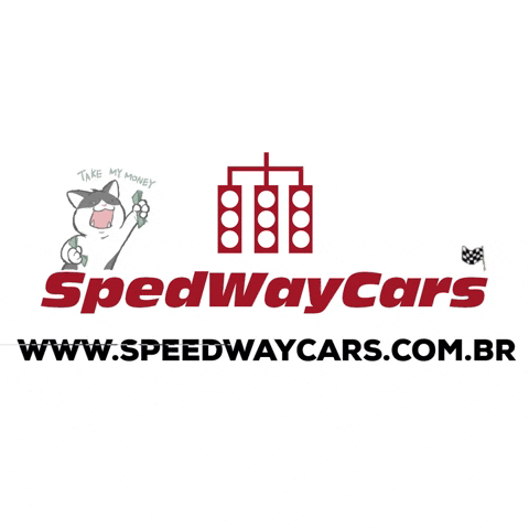 SpeedWayCars GIF