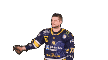 Zellamsee Ekz Sticker by EK Zeller Eisbären