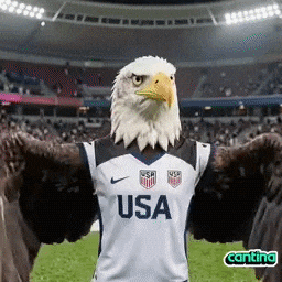 World Cup Soccer GIF by Cantina