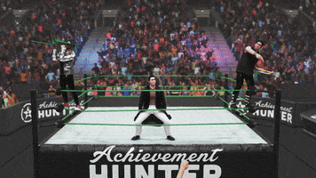 Wrestle Crowd Goes Wild GIF by Achievement Hunter