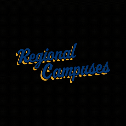 GIF by Kent State Regional Campuses