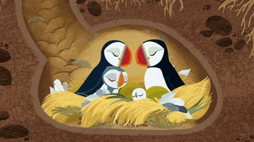 #puffin #rock #puffinrock #family #snuggletime #mama #papa #oona #baba GIF by Puffin Rock