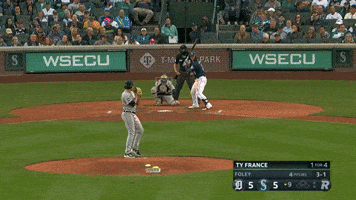 Mlb GIF