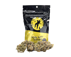 Zero Gravity Cannabis Sticker