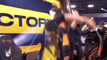 Navi Lec GIF by Natus Vincere