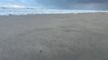Sea Race GIF