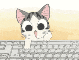 cat computer keyboard working typing