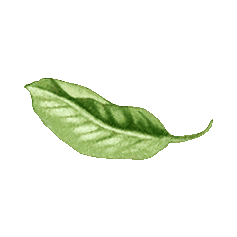 Full Circle Gin Sticker by fullcircledistillers