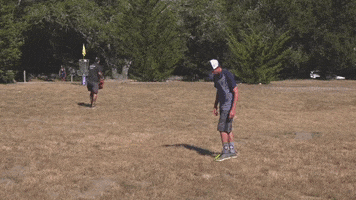 Frisbee Golf GIF by DGA Disc Golf