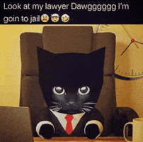 Bro Gif GIF