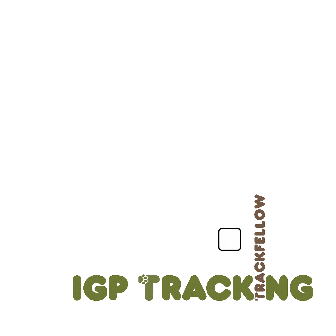 Igp Sticker by Trackfellow