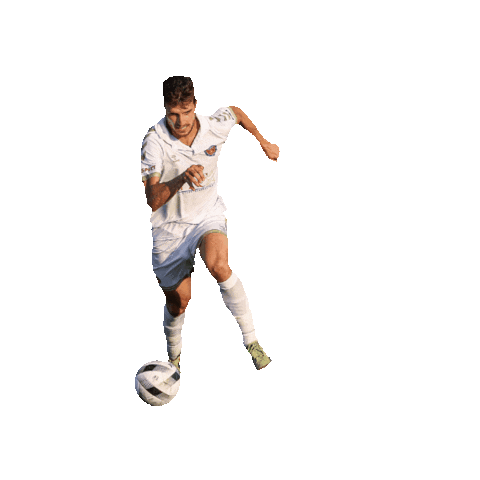 NISA Soccer Sticker