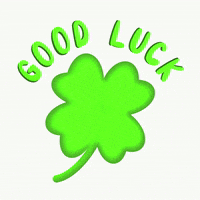 Test Good Luck GIF by sylterinselliebe