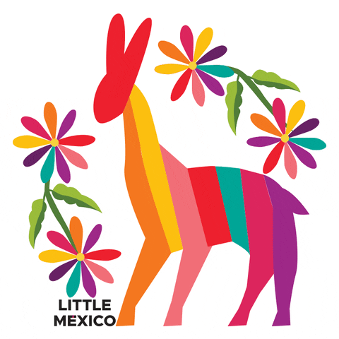 Little Mexico GIF
