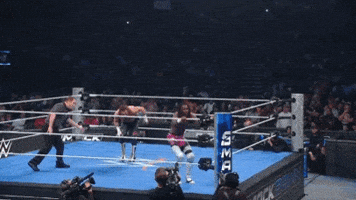 Wwe GIF