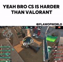 Raze Counter Strike GIF