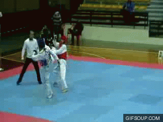 Resultado de imagen para gif de taekwondo