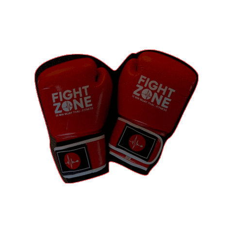 FightZoneSG Sticker