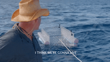 No Problem Yes GIF by Shark Week