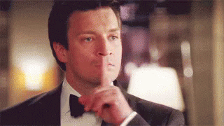 Nathan Fillion No GIF by swerk - Find & Share on GIPHY