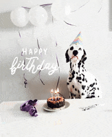 Happy Birthday Dog GIF by Beauty by Earth