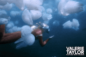 Valerie Taylor Swimming GIF by Madman Films