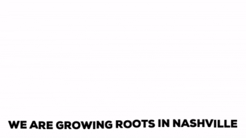 southboundgroup southbound group grow roots GIF