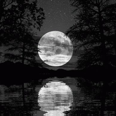 Full Moon Night GIF - Find & Share on GIPHY