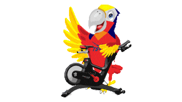 Sport Indoorcycling Sticker by TSV Falkensee e.V.