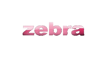 Zebra Fashion Sticker