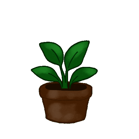 New Year Health Sticker