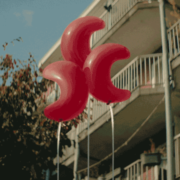 Nijntje GIF