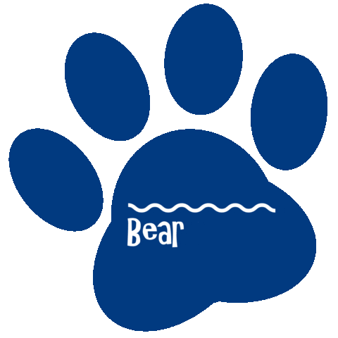 Bear Paddle Sticker